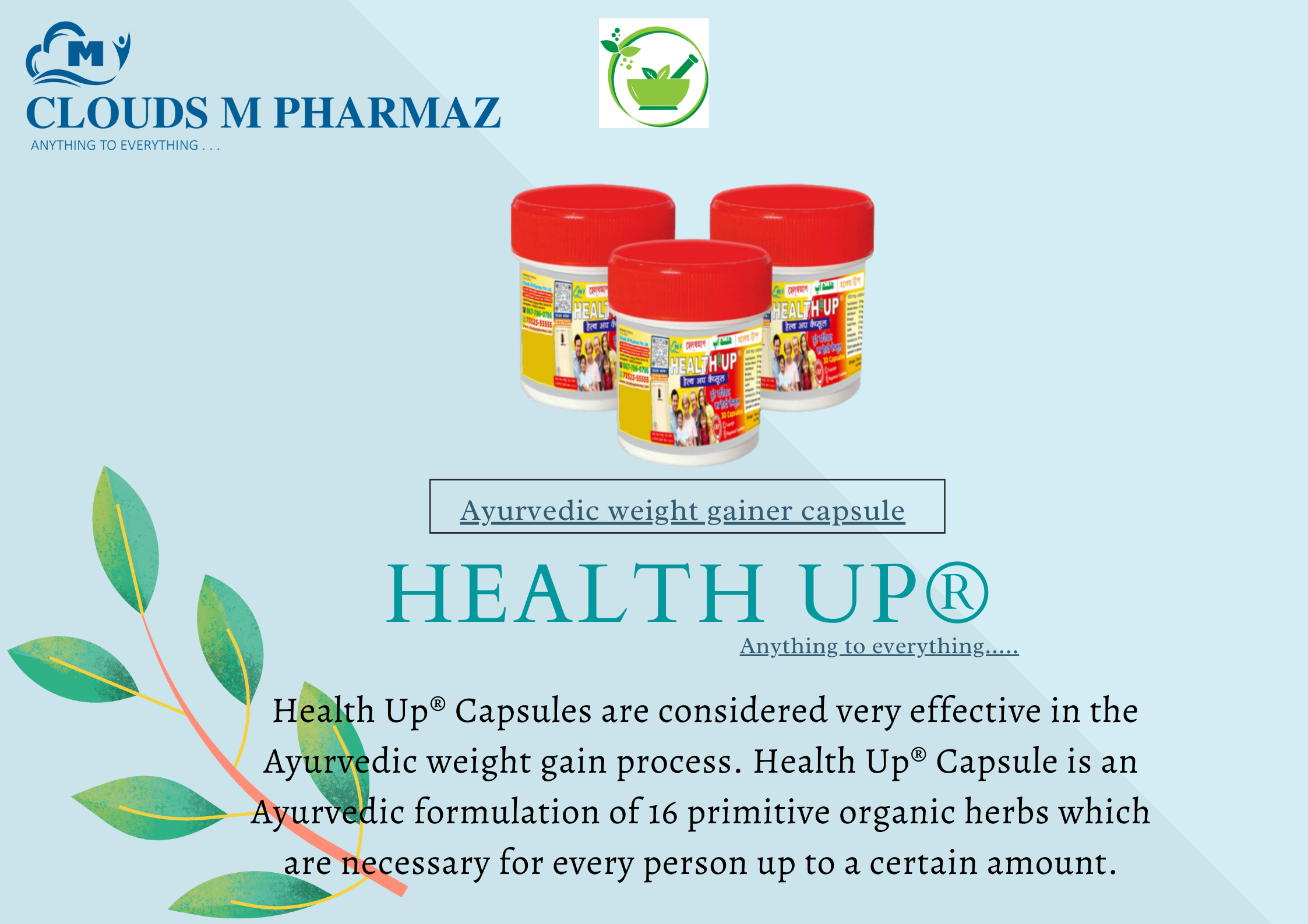 Read more about the article An Introduction On How To Gain Weight?