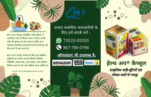 Read more about the article जानें वज़न बढ़ाना कैसे शुरू करें ?